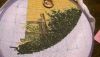 1.thumb.jpg.5e5e73a743029f5ea5ff9951daee4bda.jpg