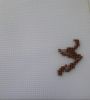 1.thumb.jpg.8cc44d109f79e3439dc35c4a8c674379.jpg