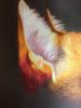 1.thumb.jpg.f007b7fad6fbaab7d8046e5503ddb062.jpg