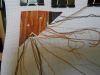 190917.thumb.jpg.ef948214d1e48ad164640d51cec2b227.jpg