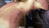 2.thumb.jpg.1443ccd2db602e3966a03370094cd39b.jpg