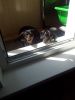 20120516_133136.thumb.jpg.24d9c2718afcdd4420bcfdf75e2af16a.jpg