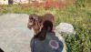 2017-09-21-11-32-55.thumb.jpg.c2f753e830958524b33b351f332985e3.jpg