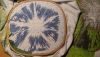 20170219_203708_HDR.thumb.jpg.9d996c1bcda8ff5a4766a810dd6d7b7d.jpg