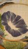 20170711_132734.thumb.jpg.3f41799355c1b17863b671b8581d524a.jpg