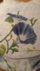 20170901_103412.thumb.jpg.461dd8a8bf716426bfcce1727ff4e96c.jpg