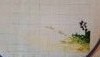20170927_111656.thumb.jpg.a61db08ce8fe73a8a1491eaad08b393e.jpg