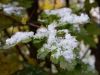 20171022_104927.thumb.jpg.2d523db5c418bc185ecfe371fb01fcb9.jpg