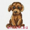 25434.thumb.jpg.d9ca7defece9de105989fc18f5deae2b.jpg