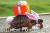 59d22e628f584_C__Data_Users_DefApps_AppData_INTERNETEXPLORER_Temp_SavedImages_pozdravleniya-s-dnem-rozhdeniya-prikolnye.thumb.jpg.68c913f74dbd4778a9ad4cc449ada7f5.jpg