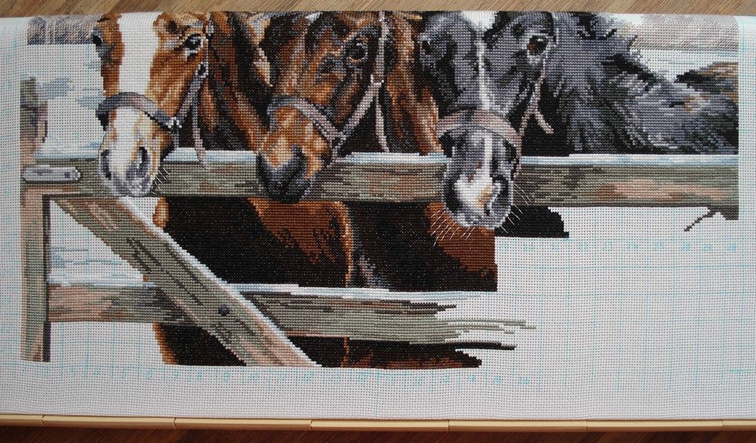 59d78eca53f5a_6.JPG.90868440d3dd67258655