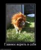 59dac5bd481f2_-.thumb.jpg.e7a5e6288a28ebc30cdeff2505048e9e.jpg