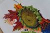 59db3d125fb48_52.(2017)(6).thumb.JPG.3dde6c28c99979d08853ab4d94571069.JPG