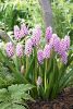 59db7d32d9b6f_15(1).thumb.jpg.18d28062f15688ff8e77b18b684e9e9b.jpg