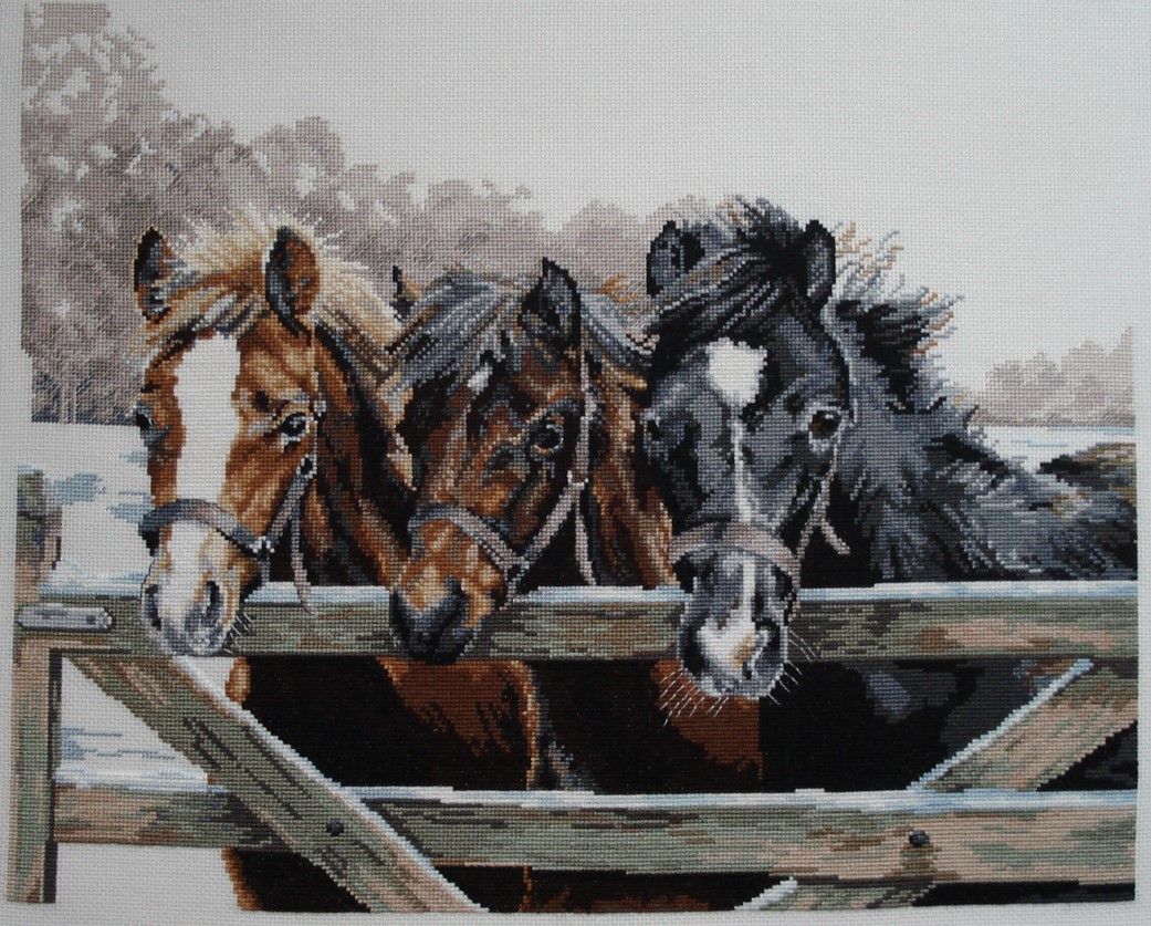 59df8c7e9a256_11.JPG.850bb391799d28c853c