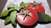 59e244e46c84b_9595(2).thumb.JPG.7c85e81e9e171262b6787be1344b10fd.JPG