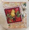 Птаха.jpg