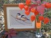 59ee45bc87f13_Dimensions35277LoveBirds.thumb.JPG.950994ba42ffcca81625abf231cb53ac.JPG