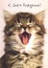 59f31aafd430e_C__Data_Users_DefApps_AppData_INTERNETEXPLORER_Temp_SavedImages_1377.thumb.jpg.a3ca08325920609e6318c0d8e36aeab0.jpg