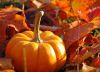 7a2.fall-leaves-pumpkins-1.thumb.jpg.a05f1f82bea06b19501c0d8f5b3dd5f4.jpg