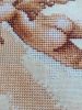 8.thumb.JPG.443153e7917a6af295af6ccc47d948ba.JPG