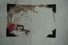 DSC02879.thumb.jpg.8bbb0a2d578fcd2fcb7906fb2ac7b695.jpg