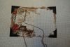 DSC02913.thumb.jpg.f978f538e69f3acb8bae75dbb7f4789f.jpg