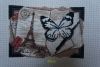 DSC03138.thumb.jpg.576a777dbde7ac3585dbb5a4ad736f66.jpg