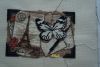 DSC03165.thumb.jpg.33bf2f019bb0d2f9d86afe4514acfd11.jpg