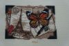 DSC03183.thumb.jpg.c784bd86021e3885157841ccba74e8a9.jpg