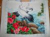 DSC03438.thumb.JPG.516636d6d07caa53d966e71ab3a2e12a.JPG