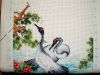 DSC03441.thumb.JPG.fe9cd3b8aeb72979a1eed8addd649086.JPG
