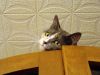 DSC04124_.thumb.jpg.4fa2008c5826b1e7b4ca3c9bae9b1659.jpg