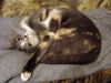 DSC04204_.thumb.jpg.03298fece8ef9136c80314b3d29d2484.jpg