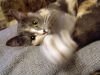 DSC04208_.thumb.jpg.c8f4eafa819010d73eb1dcad1514b7ea.jpg