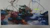 DSC05137.thumb.jpg.627d30a5a7487fac3675f8d2679eb87e.jpg
