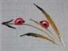 DSC07864-1.thumb.jpg.14e1a28da8880c9adbfa7203f74cfc26.jpg