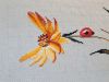 DSC07874-1.thumb.jpg.442625ce643cad7ecd86b49e4d6579b2.jpg