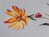 DSC07899-1.thumb.jpg.aaaf8b6a066e2ad8d51c584ab272c8f2.jpg