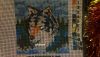 DSC07920.thumb.jpg.6a1868b94fef5d188417a96e3793480b.jpg