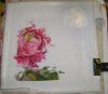 DSC08170.thumb.JPG.489f64f173f3a42ab8a278ba2d2773f8.JPG
