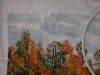 DSCF1777.thumb.JPG.b867687d6c80dce27039b39fba5e772b.JPG