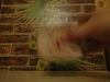 DSCN1924.thumb.JPG.3a957e6e407ab807883bde7d087f896e.JPG