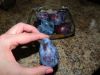 DSCN1953.thumb.JPG.8423c2e76b1e4dd187128d658801c04b.JPG