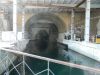 DSCN2154.thumb.JPG.754d51e1b3ea6fb65114a14445c16693.JPG