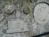 DSCN2217.thumb.JPG.ac01ff9a51728d18f5d031f0e4e05c8c.JPG