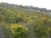 DSCN2232.thumb.JPG.b0cb29734f0e685ce802c0286537bf04.JPG