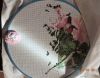 DSCN7298.thumb.JPG.30c6f26bd6ade8cfe3070c7d9f31e66d.JPG