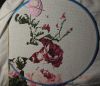 DSCN8129.thumb.JPG.a6d2a95b40dac31e0bf7d554000d0f45.JPG