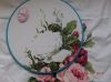 DSCN8154.thumb.JPG.36bcde7b22c71f0dd84648ae9bbdd95f.JPG